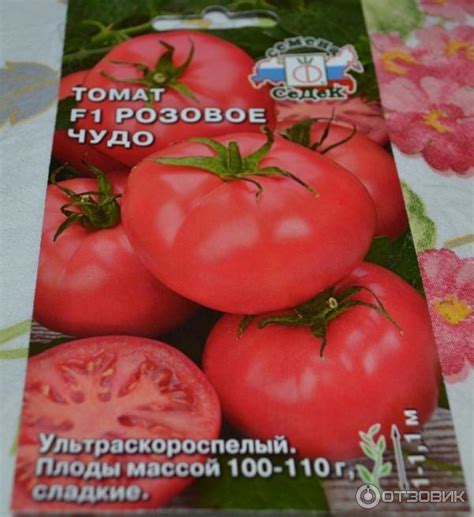 Томат «розовое чудо»: характеристика и описание сорта