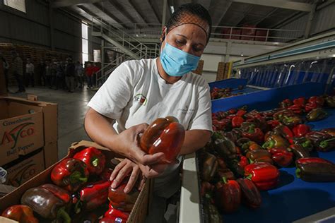 Registra balanza agroalimentaria del país superávit de dos mil mdd en