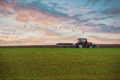 Agricoltura E Mipaaf Ripartizione Di 10 Milioni Di Euro Destinati Alle