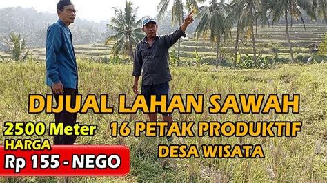 DIJUAL LAHAN SAWAH 16 PETAK MURAH ABAH PROPERTI YouTube