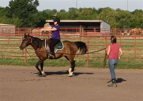 Horse Boarding and Training | Wichita Riding Academy | United States