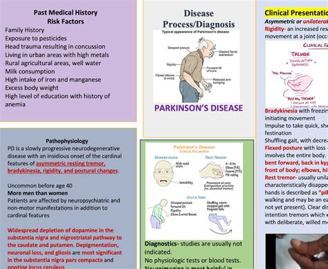 Parkinson S Disease Concept Map And Study Guide Etsy