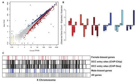 Genes With Overall Sex Differential Expression And Their Chromosome