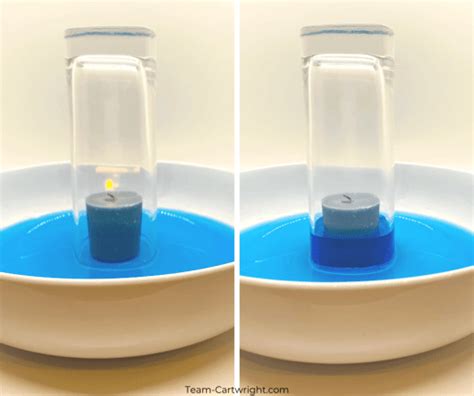 Rising Water Experiment - Magic Water Science Experiment