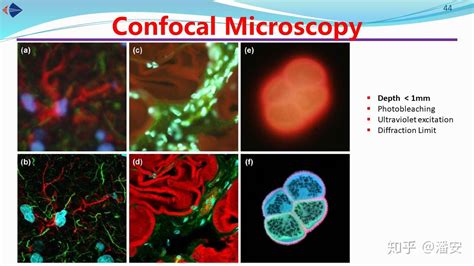 Pan Group生物光子学课程讲义（七）：激光点扫描显微术 知乎