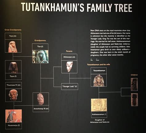 King Tutankhamun: Biography, Family Tree – ZJMOO