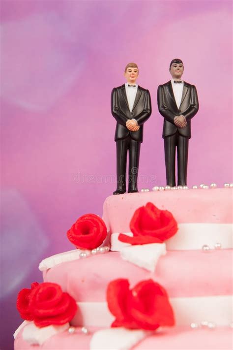 Pastel De Bodas Con Los Pares Gay Imagen De Archivo Imagen De Casado Homosexual