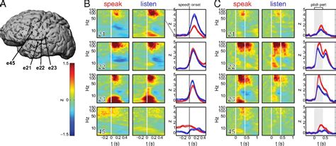 Human Cortical Sensorimotor Network Underlying Feedback Control Of