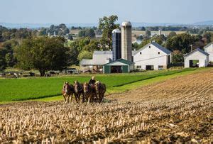 Amish | Definition, History, Beliefs, Education, Children, Lifestyle