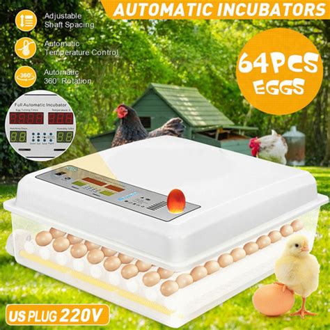 Warranty Eggs Automatic Incubator Farm Hatchery Incubator