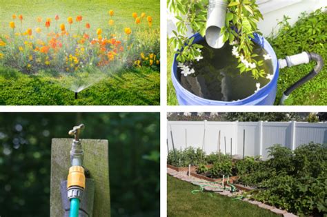 Conserving Water In The Garden Water Tips Gardening Blooming Secrets