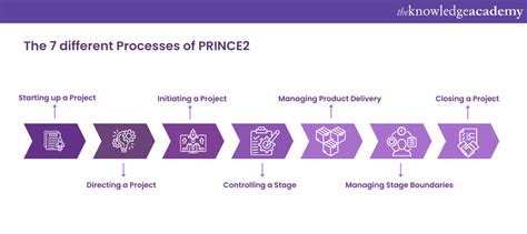 Understanding The Prince Processes