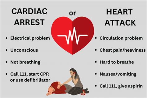 Understanding The Difference Between Heart Attack And Cardiac Arrest