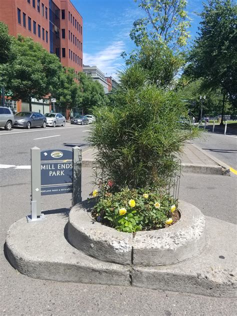 The worlds smallest park - Portland, OR : r/pics