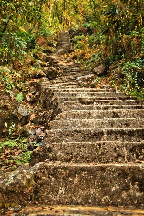 Living Root Bridges Of Meghalaya Behance