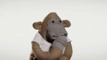 Monkey Puppet Meme GIF