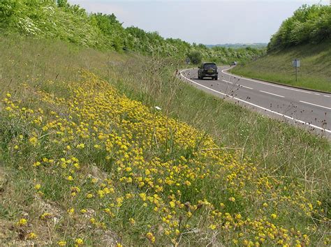 Southam By Pass Warwickshire 2010 This Fairly Recently Cr Flickr