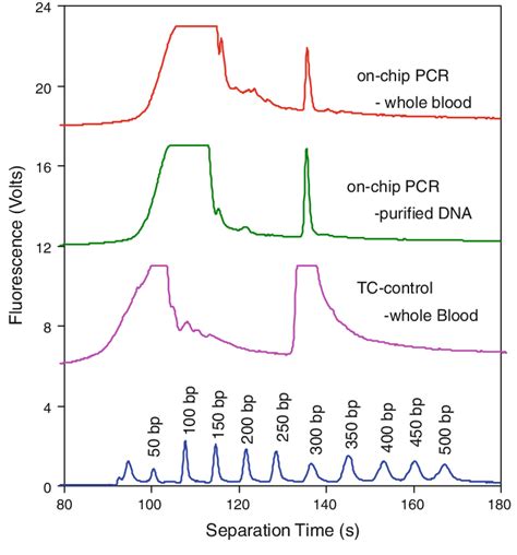 Electropherograms Showing On Chip BKV PCR 295 Bp Products Amplified