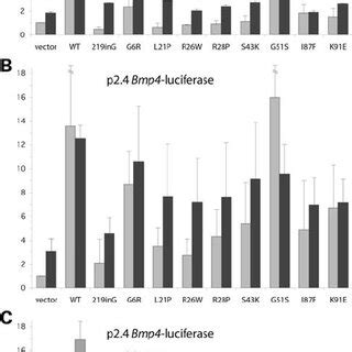 Luciferase reporter assays of target promoter upregulation and MSX1 ... 