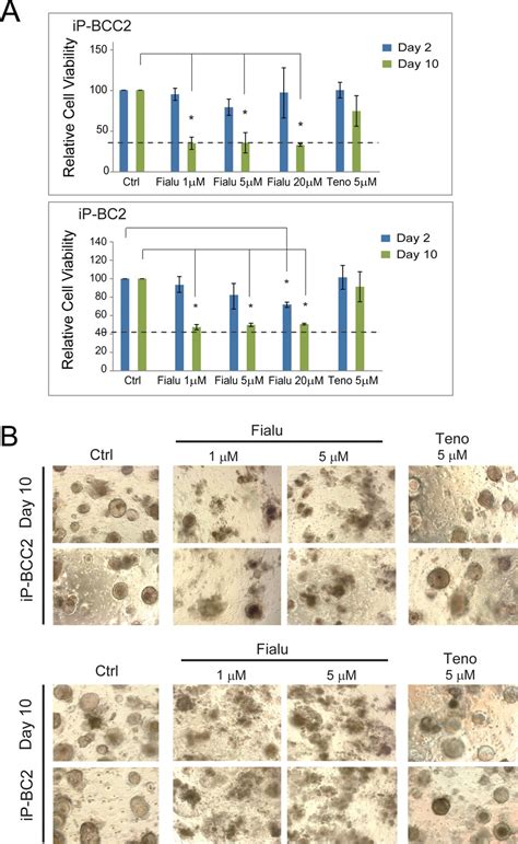 Figures And Data In Application Of Human Liver Organoids As A Patient