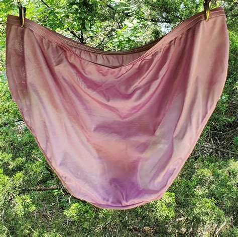 VTG Style Shadowline LACE Bikini Panty Shiny Nylon Gem