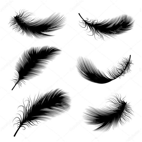 A Set Of Feathers Stock Vector Roman Sher 11680025