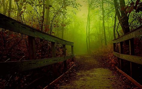 Forest Bridge Wallpapers - Top Free Forest Bridge Backgrounds ...