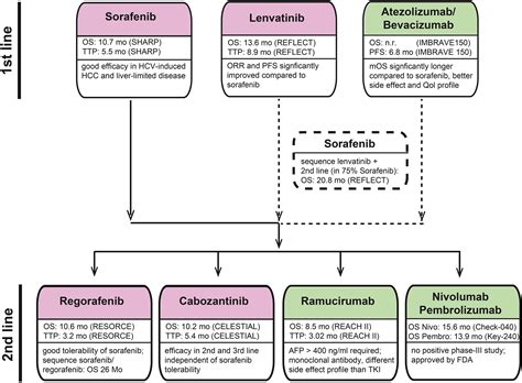 Corrigendum To “current Strategies For The Treatment Of Intermediate