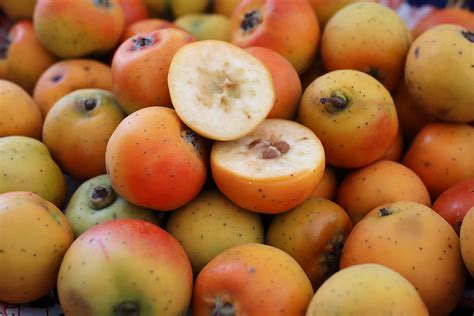 Tejocote All About The Fruit Of A Mexican Species Of Hawthorn Web