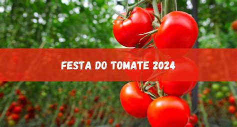 Festa Do Tomate 2024 Veja Os Shows Confirmados