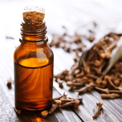 Does Clove Oil Kill Mould? - Mouldmen