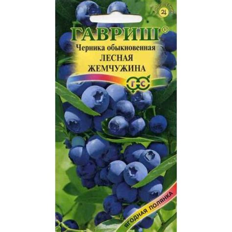 Семена черники купить — сорт Лесная Жемчужина