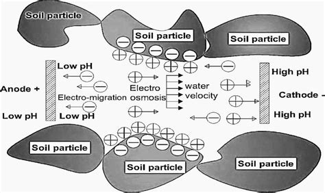 Electro Osmosis And Electro Migration Of Ions Moghadam Et Al 2016