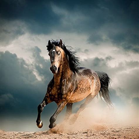 Top 999+ running horse images – Amazing Collection running horse images ...