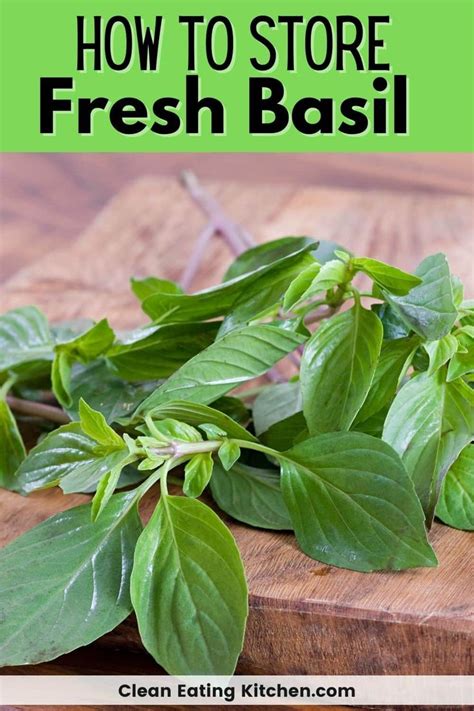 How To Store Fresh Basil Best Tips And Tricks