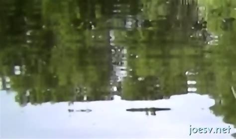 Real Home Made Gay Porn