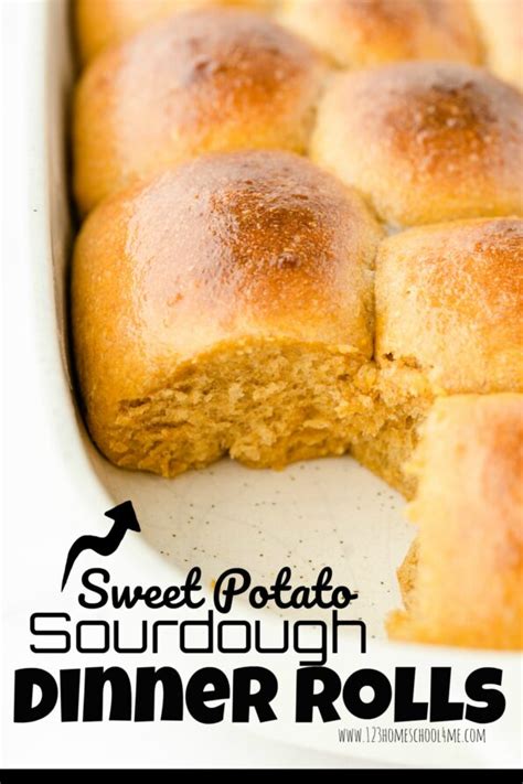 Sweet Potato Sourdough Dinner Rolls