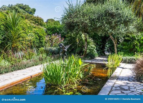 Beautiful Garden with Stone Slabs and Pond and Statue Stock Image ...