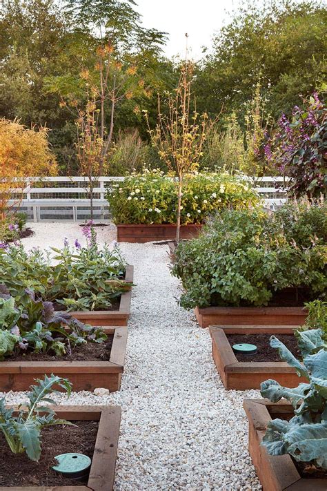 Cool Backyard Veggie Garden 36 Amazing Ideas For Growing A Vegetable