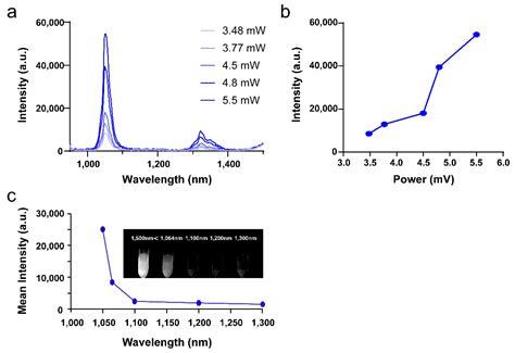 Pharmaceutics Free Full Text Achieving Effective Multimodal Imaging