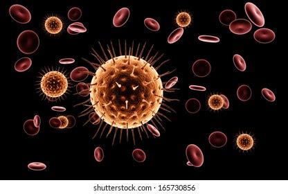 Virus Cell Infecting Blood Human Circulatory Stock Illustration