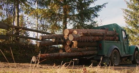 Old Green Truck Loaded With Freshly Cut Logs In A Forest Stock Footage