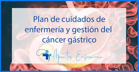 Plan De Cuidados De Enfermería Para El Cáncer Gástrico Y Su Gestión Apuntes Enfermería 【2024】