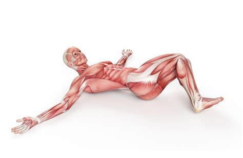 Want to Age Well? Bulletproof Your Back With These 6 Lower Back Stretches