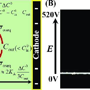 Illustration For Applying The Electric Field In Guvs A Schematic