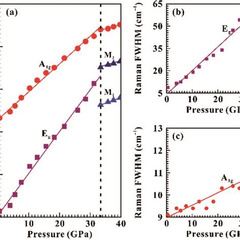 A Pressure Dependence Of Raman Shifts Of The A1g Eg M1 And M2 Modes