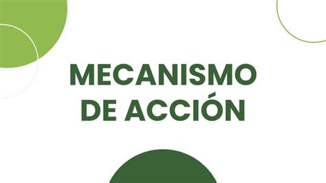 Betalact Micos Con Inhibidores De Betalactamasa Ppt