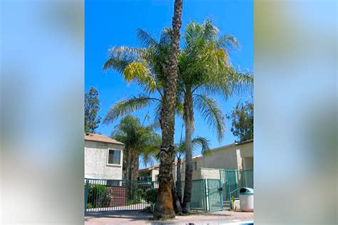 Tarzana Terraces Apartments - Tarzana, CA 91356