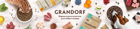 Grandorf — зоотовары для домашних животных