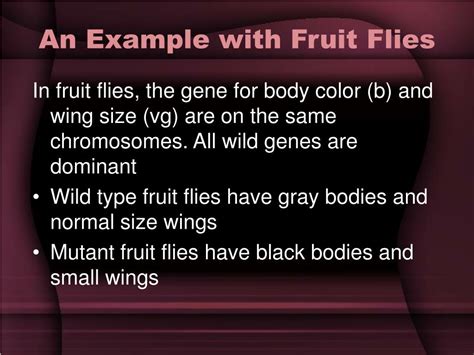 PPT Chromosomal Basis Of Inheritance Linked Genes Sex Linked Genes
